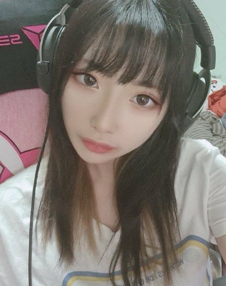 白夜侠